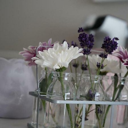 Ferienwohnungen Hafenblick Boizenburg Ngoại thất bức ảnh